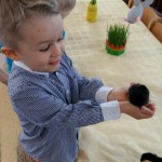 Powiększ zdjęcie