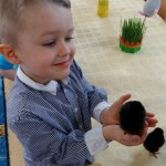 Powiększ zdjęcie