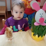 Powiększ zdjęcie